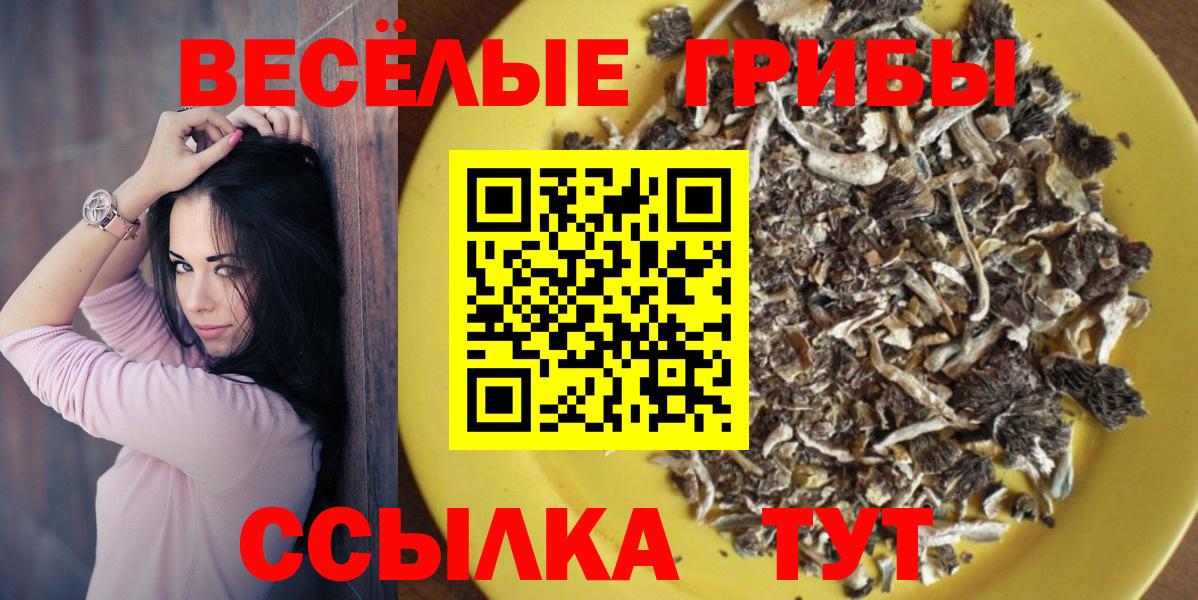 Галлюциногенные грибы Cubensis Славгород
