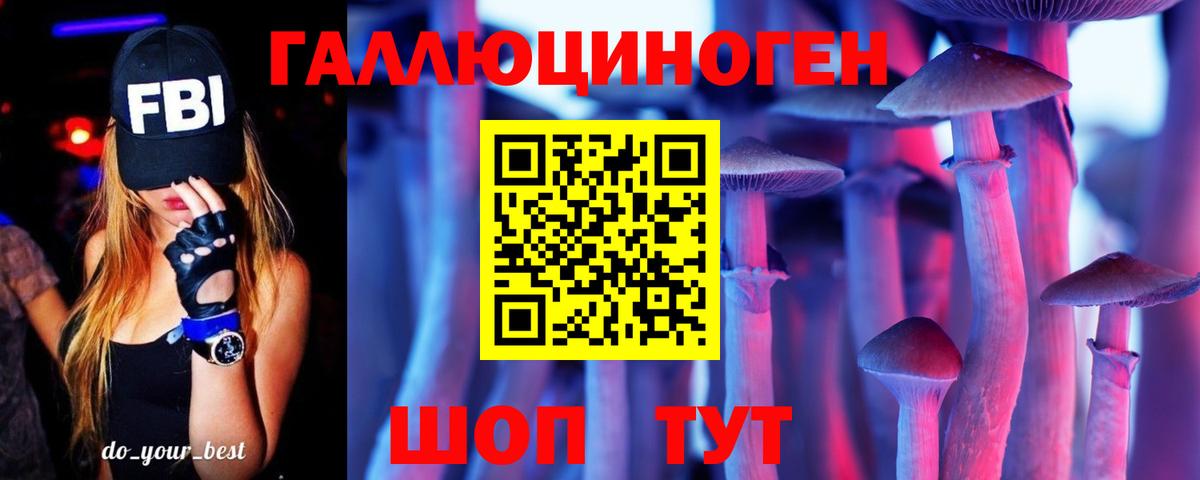 Псилоцибиновые грибы GOLDEN TEACHER  Вход с VPN  Псилоцибиновые грибы Psilocybe  Славгород 
